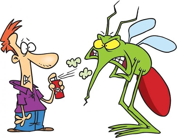 Dịch Vụ Diệt Muỗi Chuyên Nghiệp – Giải Pháp Kiểm Soát Muỗi An Toàn, Hiệu Quả
